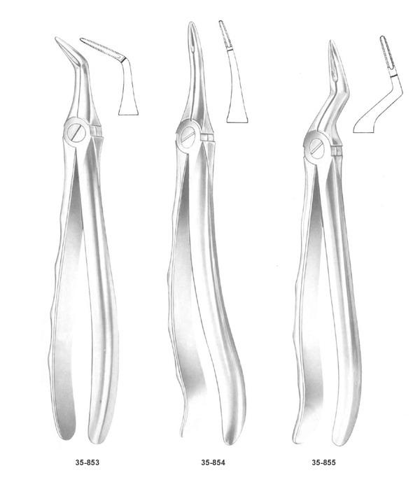 Dental Forceps