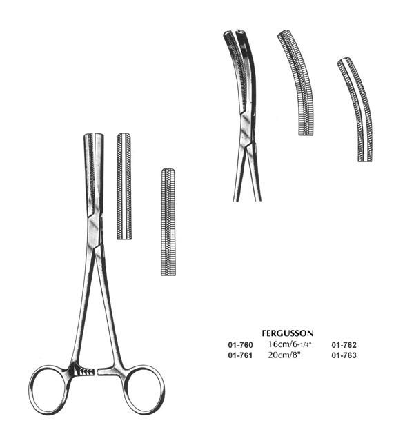 angiotribes